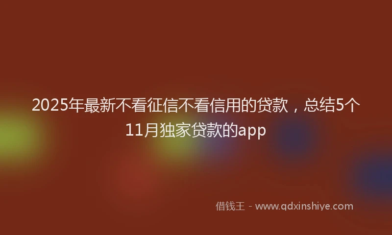 2025年最新不看征信不看信用的贷款，总结5个11月独家贷款的app