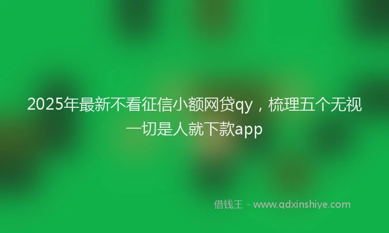 2025年最新不看征信小额网贷qy，梳理五个无视一切是人就下款app