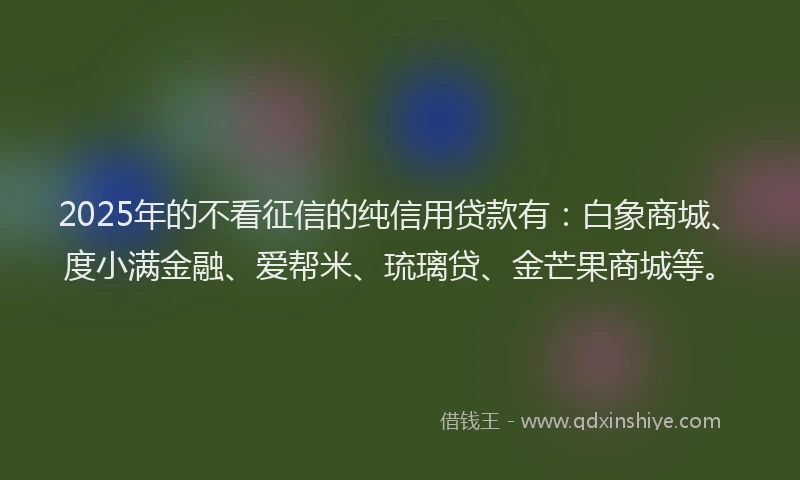 2025年的不看征信的纯信用贷款有：白象商城、度小满金融、爱帮米、琉璃贷、金芒果商城等。