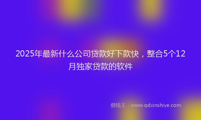 2025年最新什么公司贷款好下款快，整合5个12月独家贷款的软件