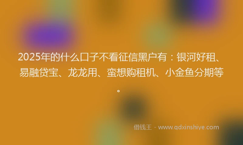2025年的什么口子不看征信黑户有：银河好租、易融贷宝、龙龙用、蛮想购租机、小金鱼分期等。
