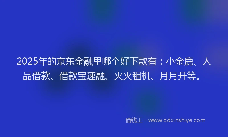 2025年的京东金融里哪个好下款有：小金鹿、人品借款、借款宝速融、火火租机、月月开等。