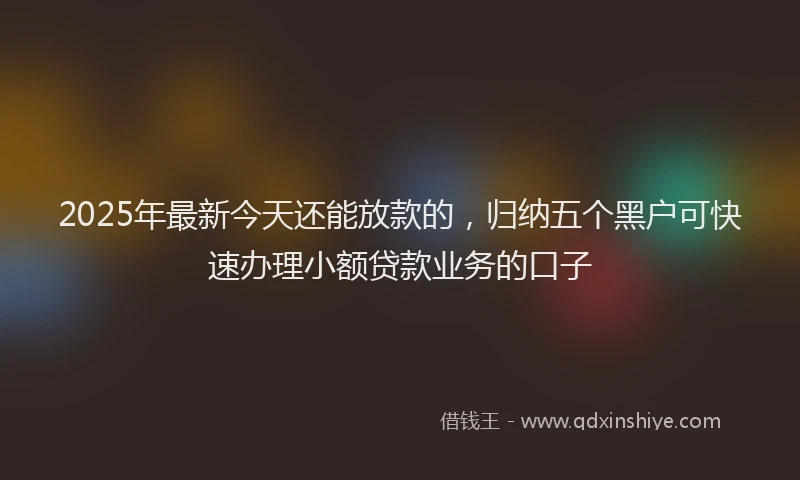 2025年最新今天还能放款的，归纳五个黑户可快速办理小额贷款业务的口子