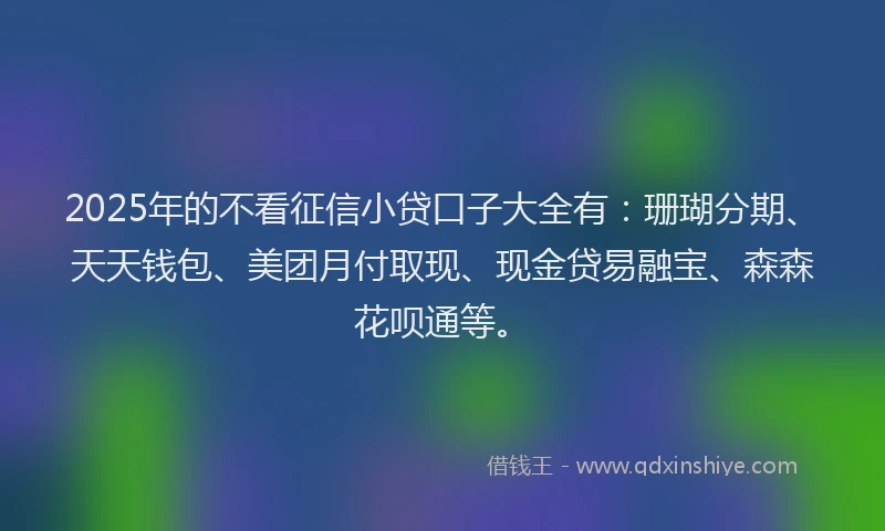 2025年的不看征信小贷口子大全有：珊瑚分期、天天钱包、美团月付取现、现金贷易融宝、森森花呗通等。