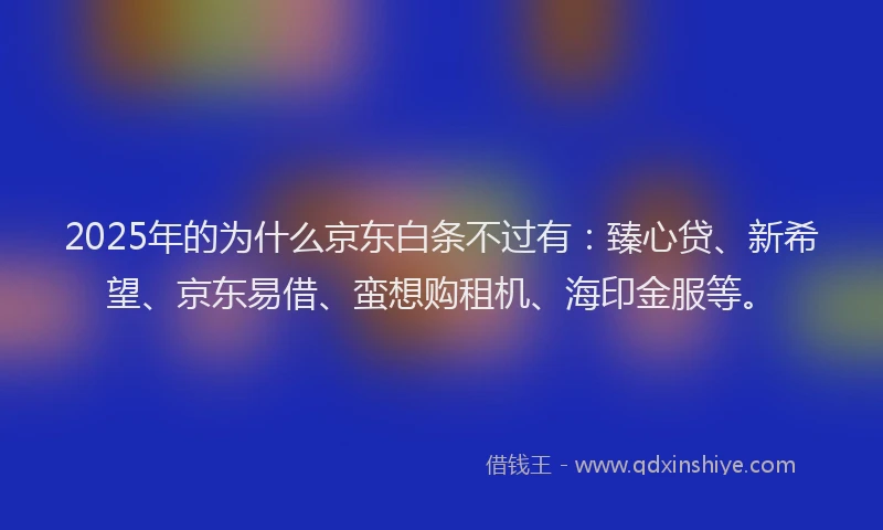 2025年的为什么京东白条不过有：臻心贷、新希望、京东易借、蛮想购租机、海印金服等。