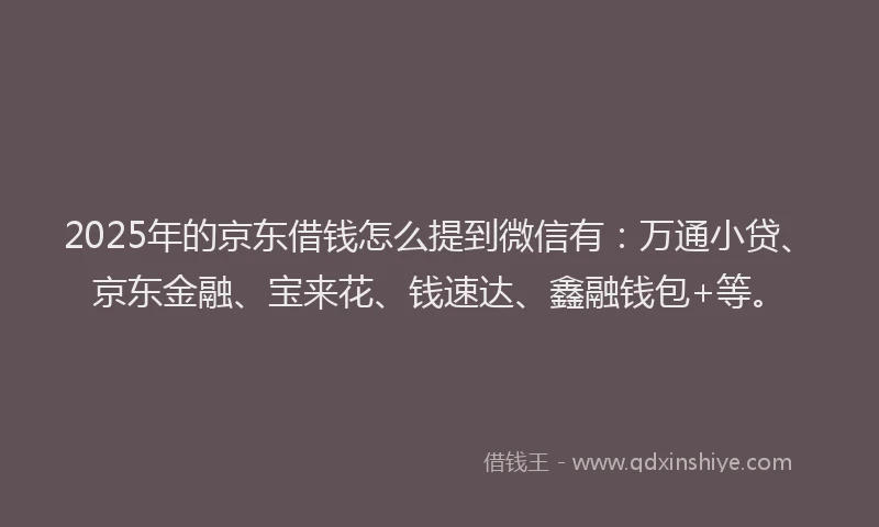 2025年的京东借钱怎么提到微信有：万通小贷、京东金融、宝来花、钱速达、鑫融钱包+等。