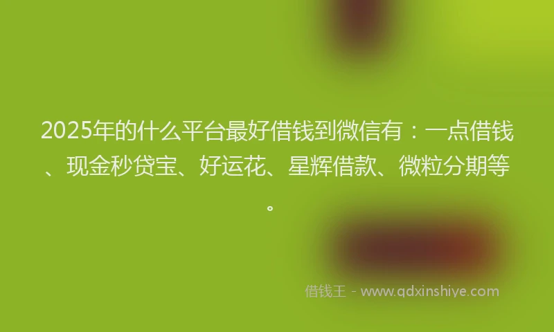 2025年的什么平台最好借钱到微信有：一点借钱、现金秒贷宝、好运花、星辉借款、微粒分期等。