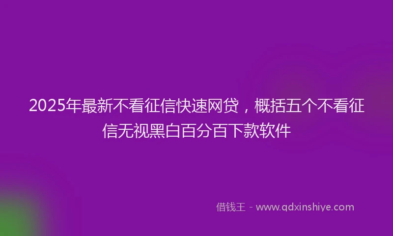 2025年最新不看征信快速网贷，概括五个不看征信无视黑白百分百下款软件