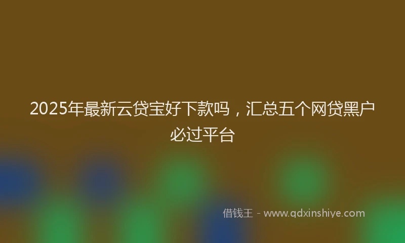 2025年最新云贷宝好下款吗，汇总五个网贷黑户必过平台