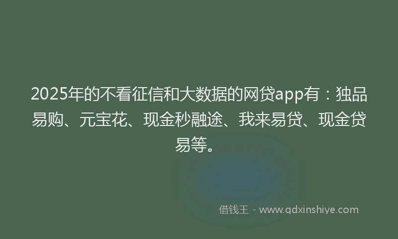 2025年的不看征信和大数据的网贷app有：独品易购、元宝花、现金秒融途、我来易贷、现金贷易等。