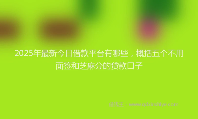 2025年最新今日借款平台有哪些，概括五个不用面签和芝麻分的贷款口子