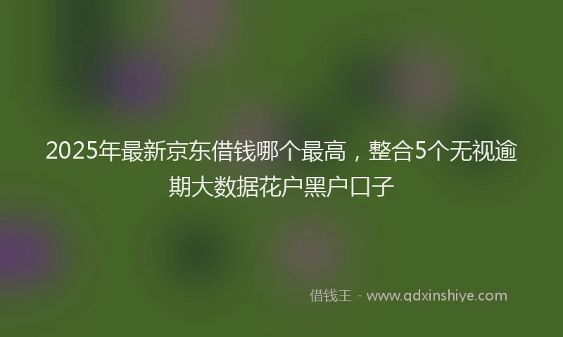 2025年最新京东借钱哪个最高，整合5个无视逾期大数据花户黑户口子