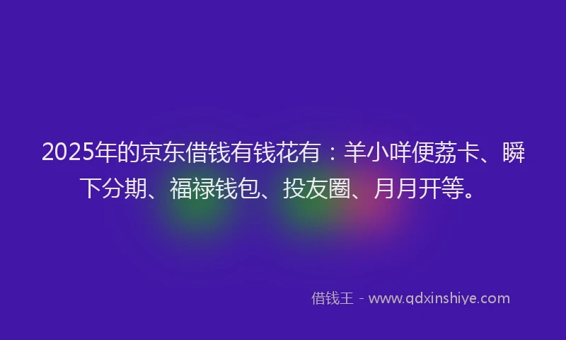 2025年的京东借钱有钱花有：羊小咩便荔卡、瞬下分期、福禄钱包、投友圈、月月开等。