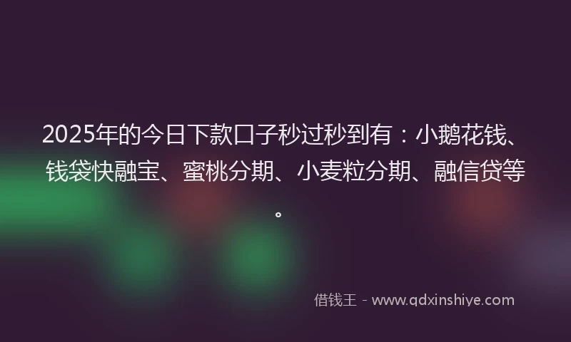 2025年的今日下款口子秒过秒到有：小鹅花钱、钱袋快融宝、蜜桃分期、小麦粒分期、融信贷等。