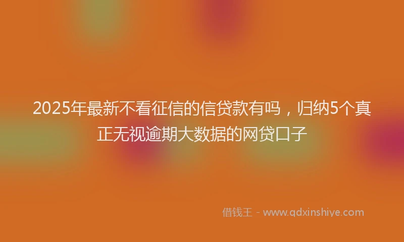 2025年最新不看征信的信贷款有吗，归纳5个真正无视逾期大数据的网贷口子