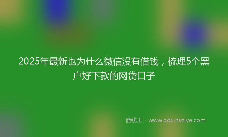 2025年最新也为什么微信没有借钱，梳理5个黑户好下款的网贷口子