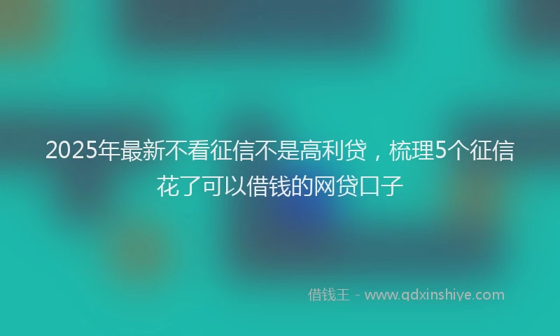 2025年最新不看征信不是高利贷，梳理5个征信花了可以借钱的网贷口子