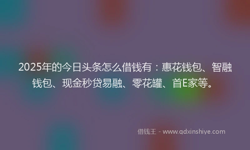 2025年的今日头条怎么借钱有：惠花钱包、智融钱包、现金秒贷易融、零花罐、首E家等。