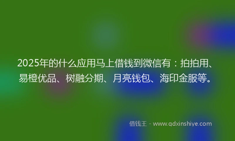 2025年的什么应用马上借钱到微信有：拍拍用、易橙优品、树融分期、月亮钱包、海印金服等。