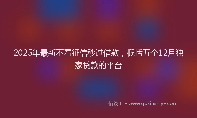 2025年最新不看征信秒过借款，概括五个12月独家贷款的平台