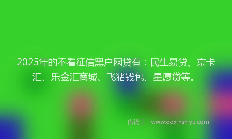 2025年的不看征信黑户网贷有：民生易贷、京卡汇、乐金汇商城、飞猪钱包、星愿贷等。