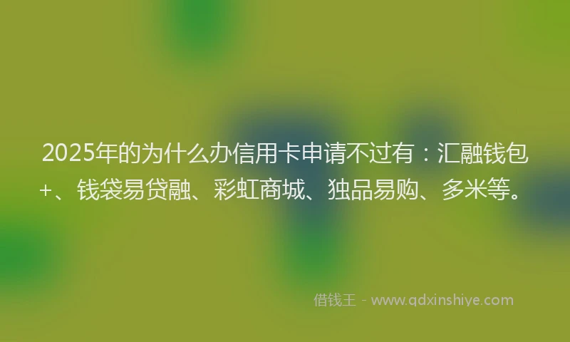 2025年的为什么办信用卡申请不过有：汇融钱包+、钱袋易贷融、彩虹商城、独品易购、多米等。