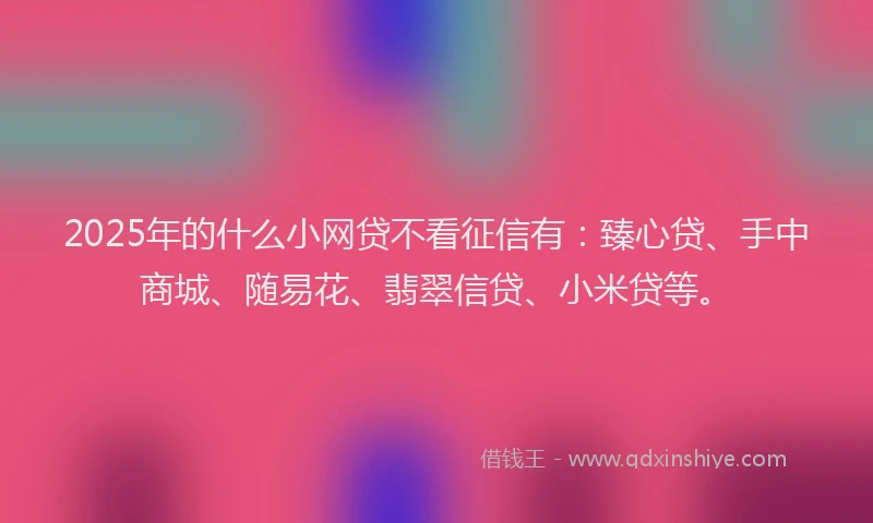 2025年的什么小网贷不看征信有：臻心贷、手中商城、随易花、翡翠信贷、小米贷等。