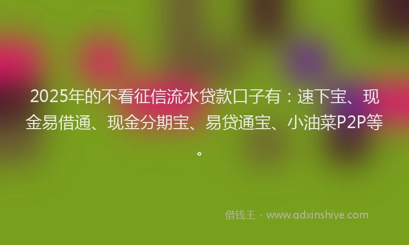 2025年的不看征信流水贷款口子有：速下宝、现金易借通、现金分期宝、易贷通宝、小油菜P2P等。