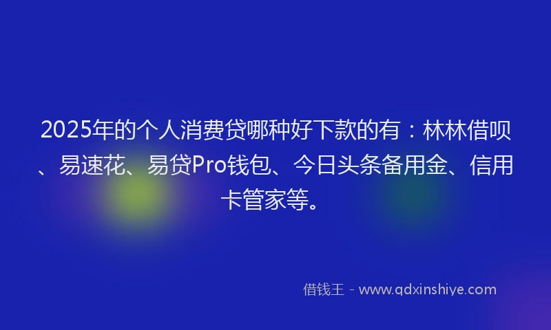 2025年的个人消费贷哪种好下款的有：林林借呗、易速花、易贷Pro钱包、今日头条备用金、信用卡管家等。