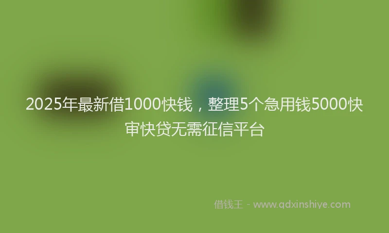 2025年最新借1000快钱，整理5个急用钱5000快审快贷无需征信平台