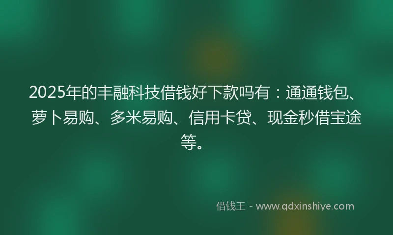 2025年的丰融科技借钱好下款吗有：通通钱包、萝卜易购、多米易购、信用卡贷、现金秒借宝途等。
