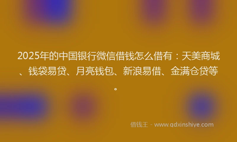 2025年的中国银行微信借钱怎么借有：天美商城、钱袋易贷、月亮钱包、新浪易借、金满仓贷等。