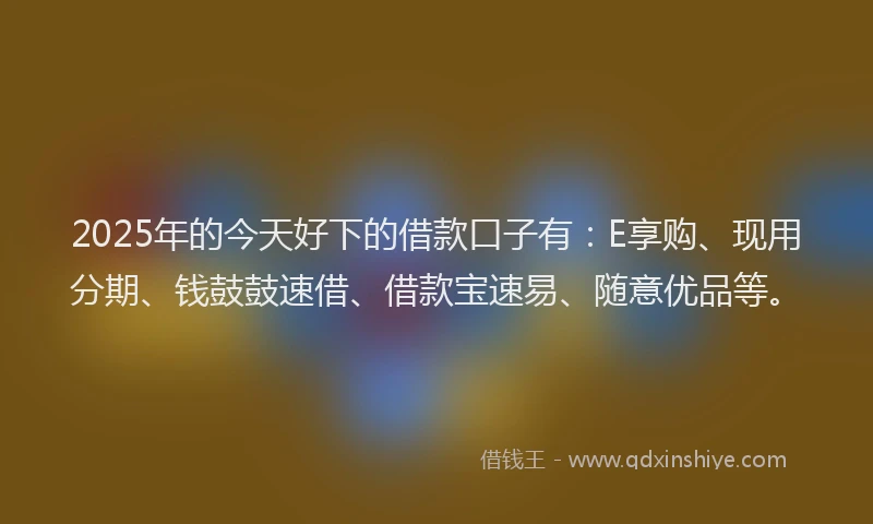 2025年的今天好下的借款口子有：E享购、现用分期、钱鼓鼓速借、借款宝速易、随意优品等。