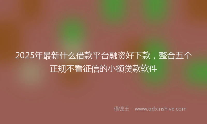 2025年最新什么借款平台融资好下款，整合五个正规不看征信的小额贷款软件