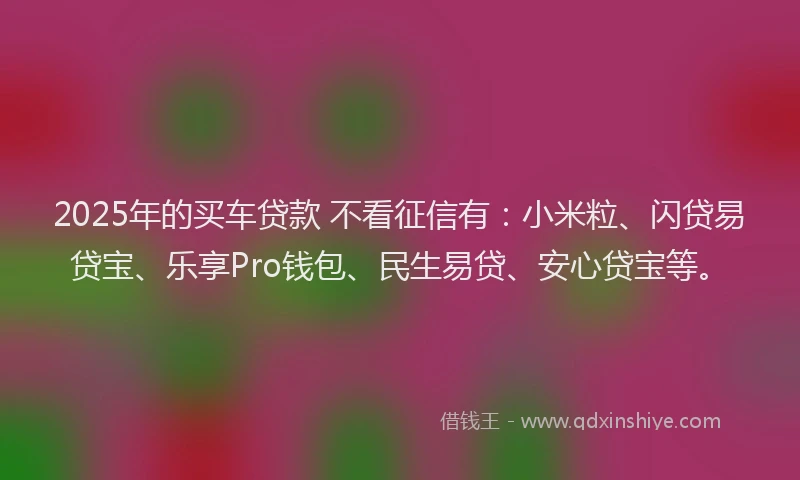 2025年的买车贷款 不看征信有：小米粒、闪贷易贷宝、乐享Pro钱包、民生易贷、安心贷宝等。
