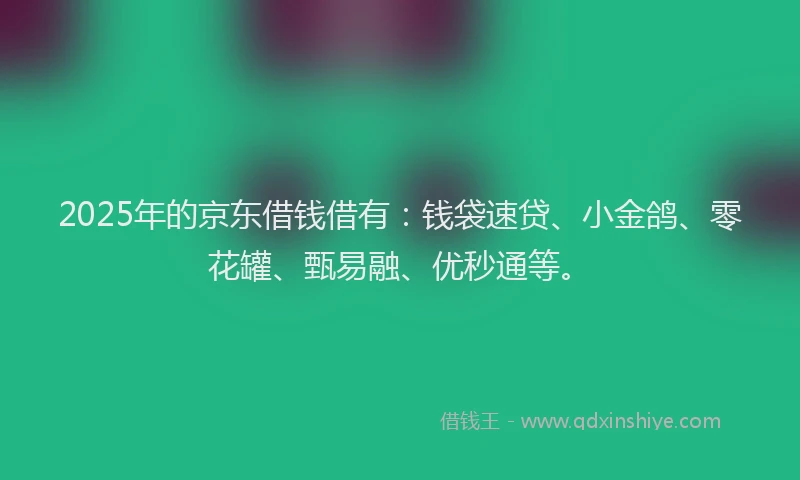2025年的京东借钱借有：钱袋速贷、小金鸽、零花罐、甄易融、优秒通等。