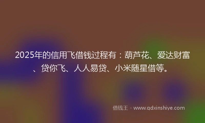 2025年的信用飞借钱过程有：葫芦花、爱达财富、贷你飞、人人易贷、小米随星借等。