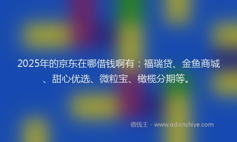 2025年的京东在哪借钱啊有：福瑞贷、金鱼商城、甜心优选、微粒宝、橄榄分期等。