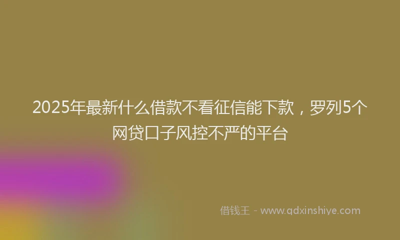 2025年最新什么借款不看征信能下款，罗列5个网贷口子风控不严的平台