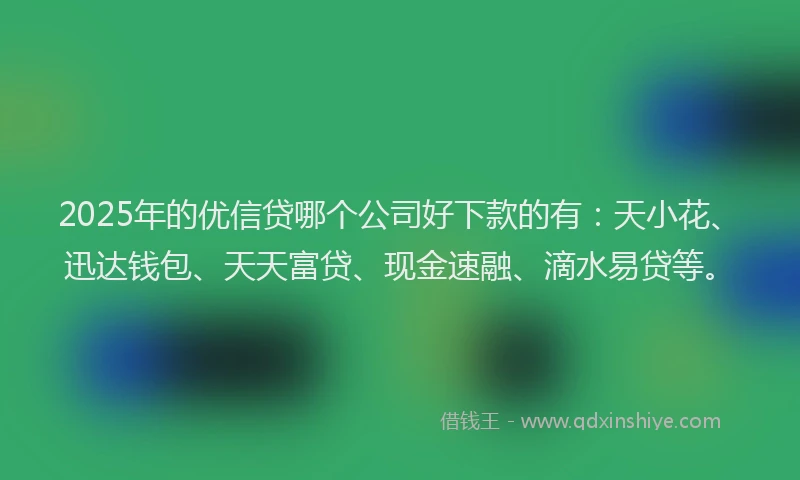 2025年的优信贷哪个公司好下款的有：天小花、迅达钱包、天天富贷、现金速融、滴水易贷等。