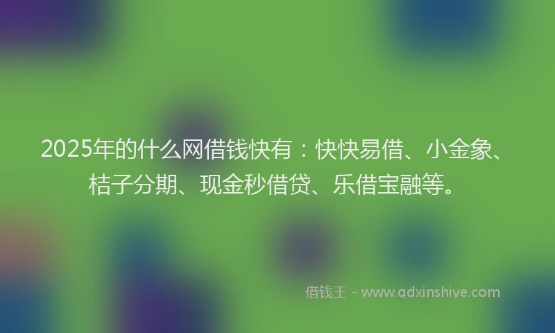 2025年的什么网借钱快有：快快易借、小金象、桔子分期、现金秒借贷、乐借宝融等。