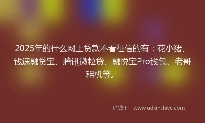 2025年的什么网上贷款不看征信的有：花小猪、钱速融贷宝、腾讯微粒贷、融悦宝Pro钱包、老哥租机等。