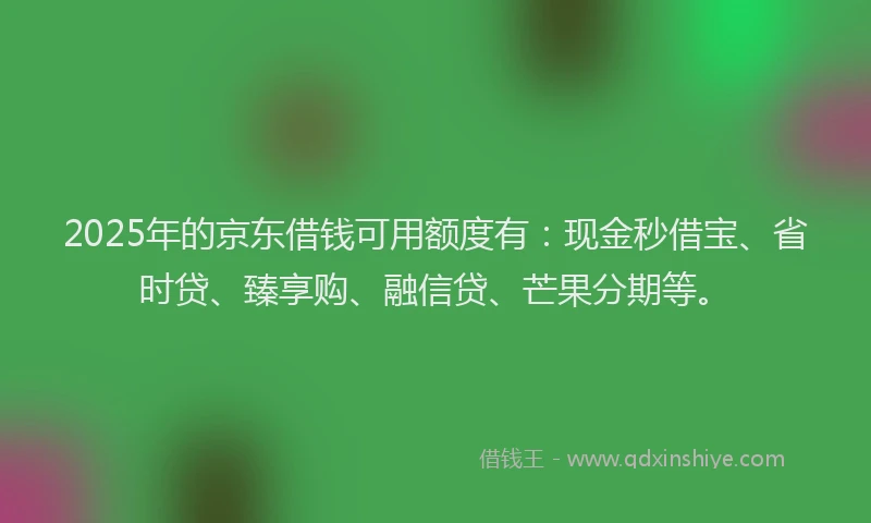 2025年的京东借钱可用额度有：现金秒借宝、省时贷、臻享购、融信贷、芒果分期等。