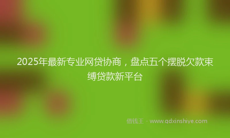 2025年最新专业网贷协商，盘点五个摆脱欠款束缚贷款新平台