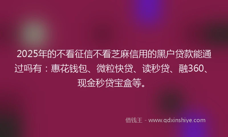 2025年的不看征信不看芝麻信用的黑户贷款能通过吗有：惠花钱包、微粒快贷、读秒贷、融360、现金秒贷宝盒等。