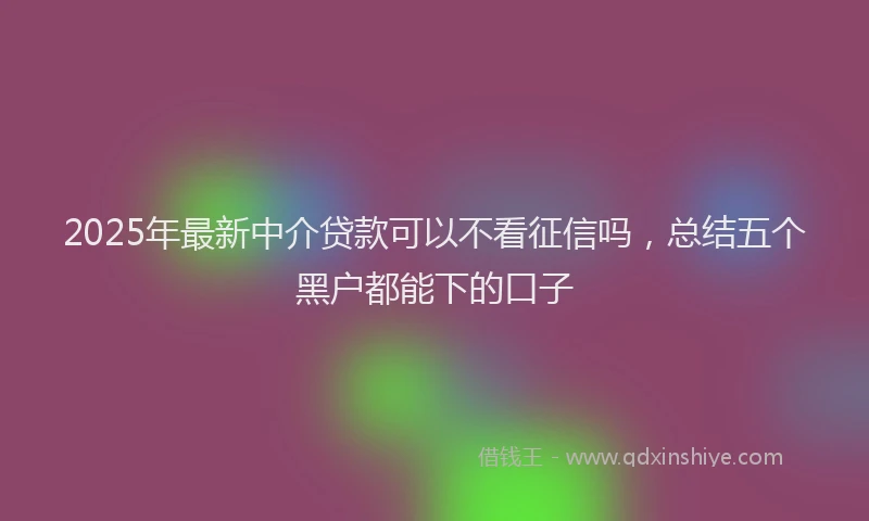 2025年最新中介贷款可以不看征信吗，总结五个黑户都能下的口子