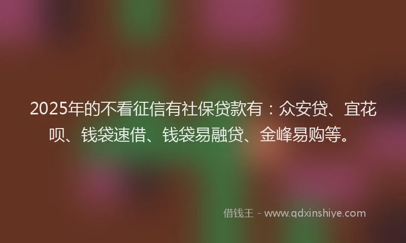 2025年的不看征信有社保贷款有：众安贷、宜花呗、钱袋速借、钱袋易融贷、金峰易购等。