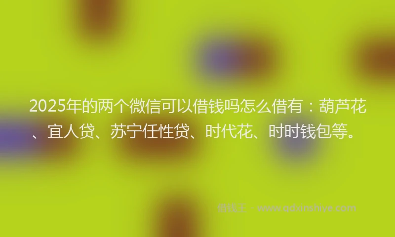 2025年的两个微信可以借钱吗怎么借有：葫芦花、宜人贷、苏宁任性贷、时代花、时时钱包等。