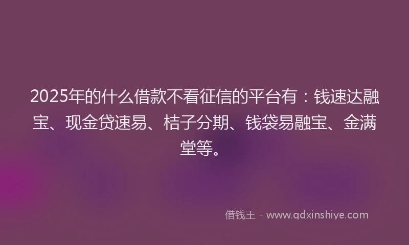 2025年的什么借款不看征信的平台有：钱速达融宝、现金贷速易、桔子分期、钱袋易融宝、金满堂等。
