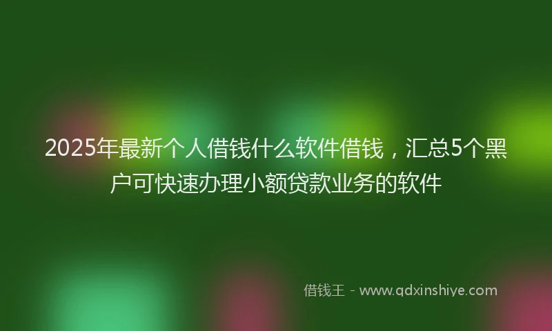 2025年最新个人借钱什么软件借钱，汇总5个黑户可快速办理小额贷款业务的软件